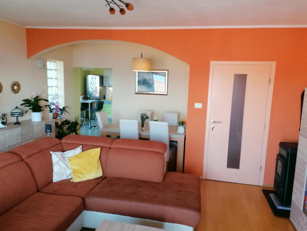 Apartmani Zafaranic ツリクヴェニツァ エクステリア 写真
