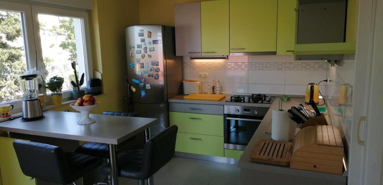Apartmani Zafaranic ツリクヴェニツァ エクステリア 写真